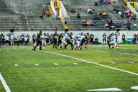 TMD_RVHS_wk6-9087