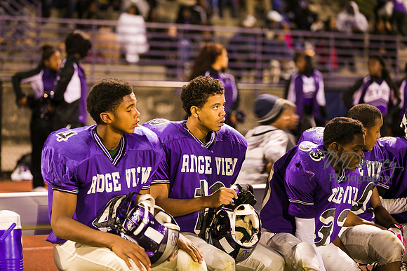 TMD_RVHS_wk8-3351