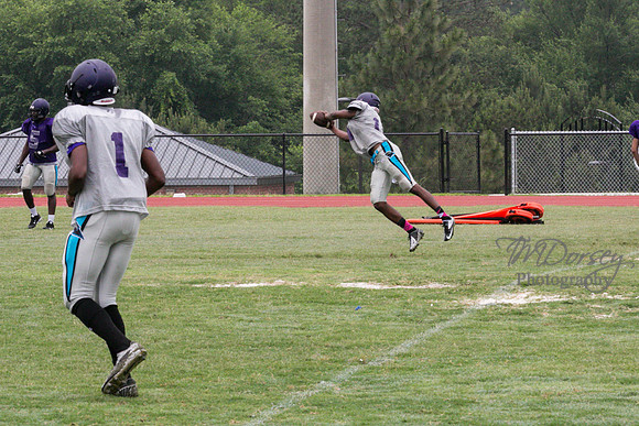 TMD_RVHS_2014-3535