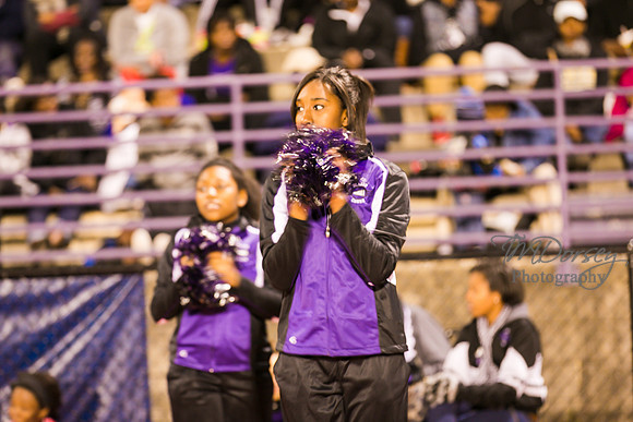 TMD_RVHS_wk8-3495