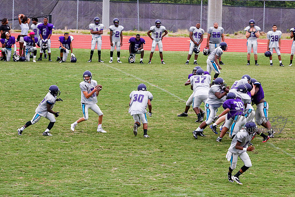 TMD_RVHS_2014-3779