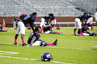 TMD_RVHS_wk7-2073