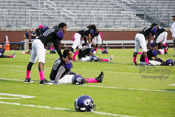 TMD_RVHS_wk7-2073