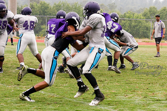 TMD_RVHS_2014-3680