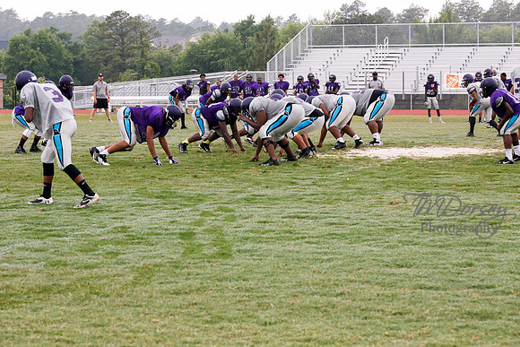 TMD_RVHS_2014-3646