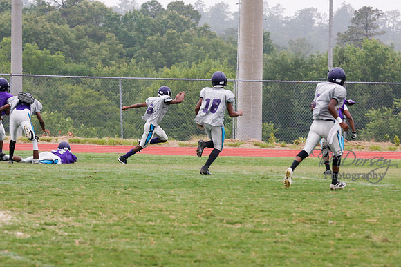 TMD_RVHS_2014-3727