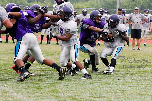 TMD_RVHS_2014-3605