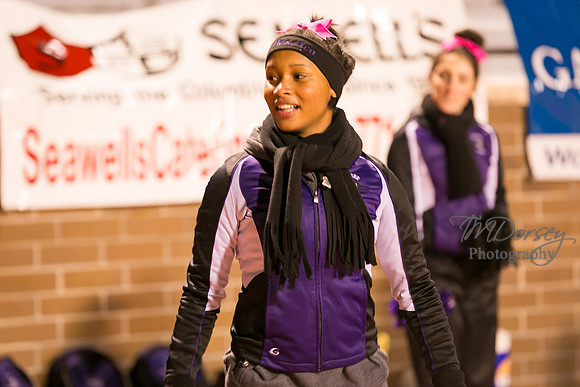 TMD_RVHS_wk8-4928