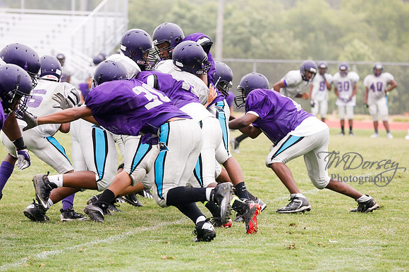 TMD_RVHS_2014-3740