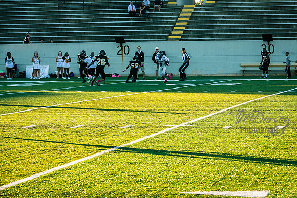 TMD_RVHS_wk6-9011