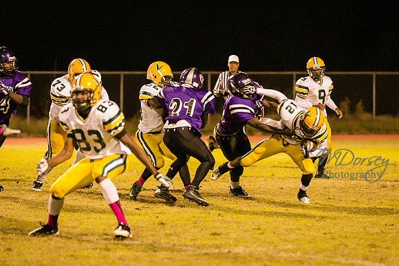 TMD_RVHS_wk8-3864
