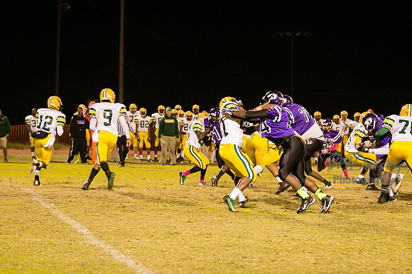 TMD_RVHS_wk8-3733