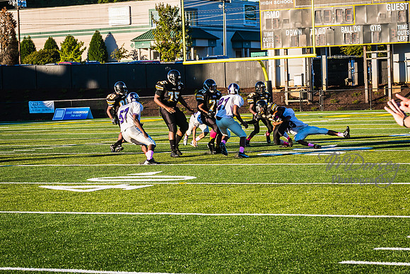 TMD_RVHS_wk6-8944