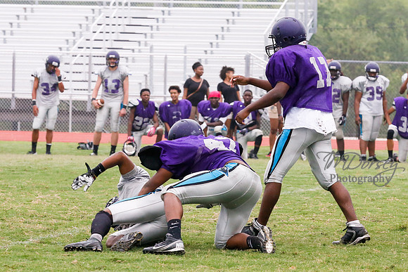 TMD_RVHS_2014-3762