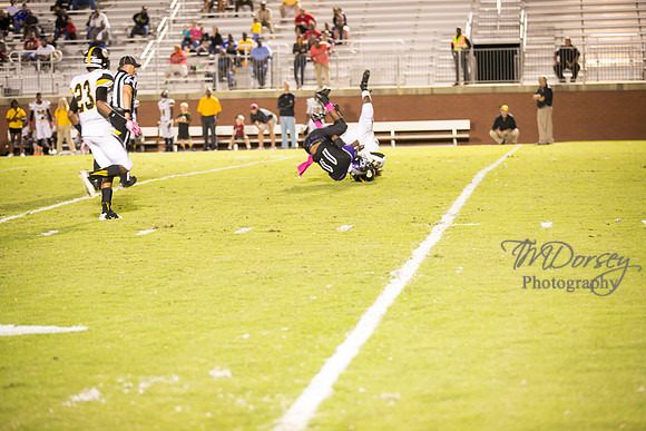 TMD_RVHS_wk6-0768