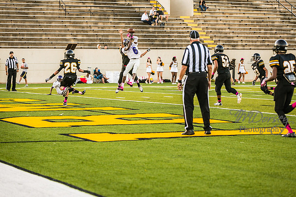 TMD_RVHS_wk6-9035