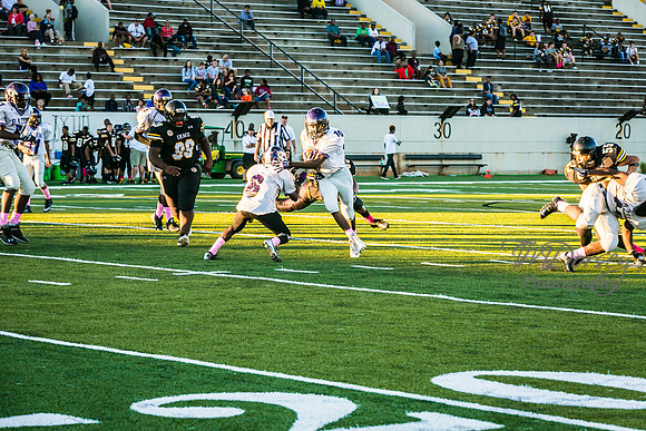 TMD_RVHS_wk6-9022