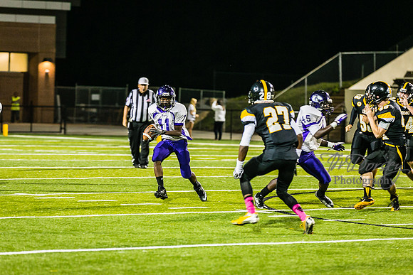TMD_RVHS_wk6-9588