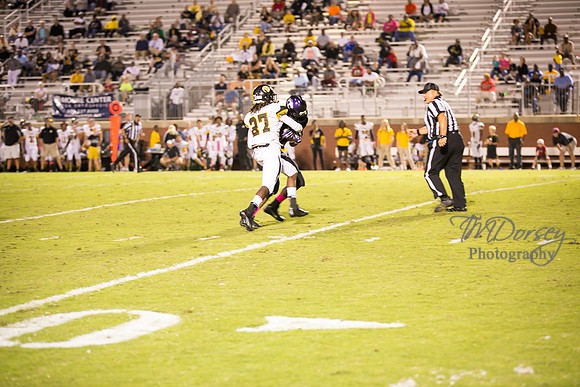 TMD_RVHS_wk6-0764