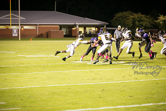 TMD_RVHS_wk6-0783