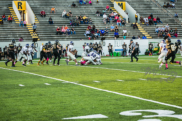TMD_RVHS_wk6-9088