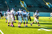 TMD_RVHS_wk6-8887