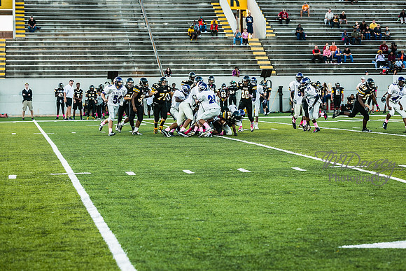 TMD_RVHS_wk6-9083