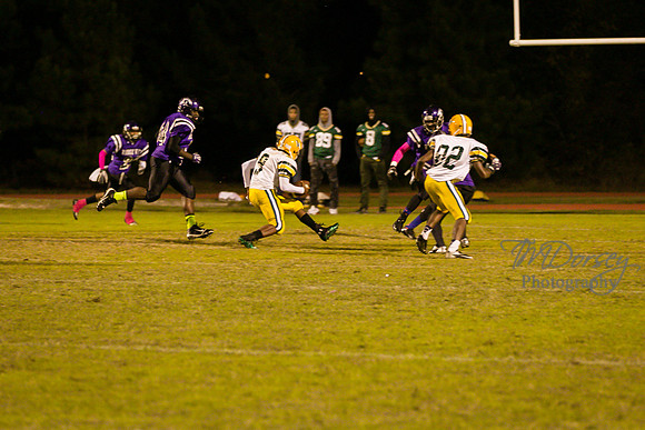 TMD_RVHS_wk8-3748