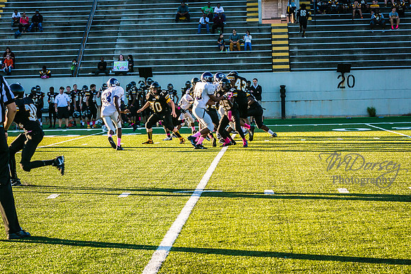 TMD_RVHS_wk6-8934