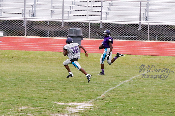 TMD_RVHS_2014-3793