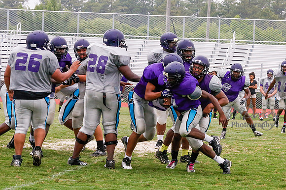 TMD_RVHS_2014-3669