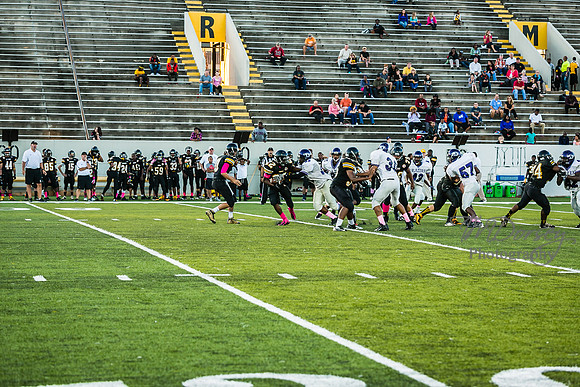 TMD_RVHS_wk6-9089