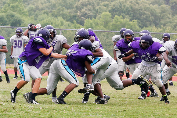 TMD_RVHS_2014-3621