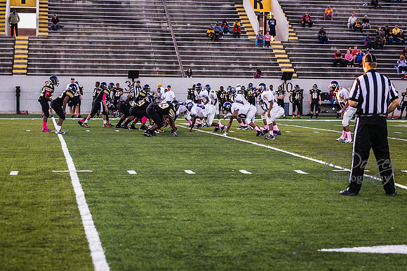 TMD_RVHS_wk6-9076