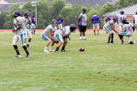 TMD_RVHS_2014-3533