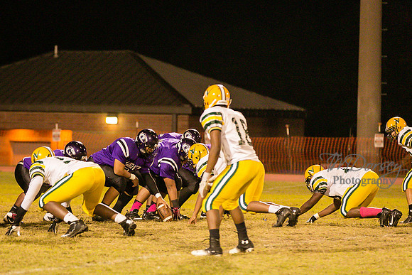 TMD_RVHS_wk8-3879