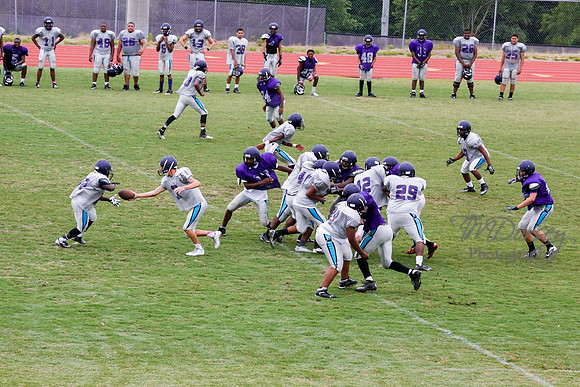 TMD_RVHS_2014-3770