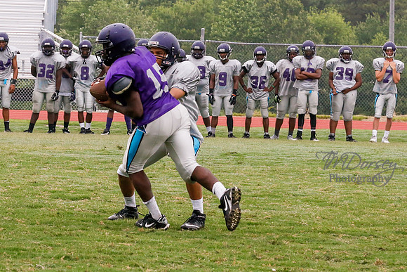 TMD_RVHS_2014-3665