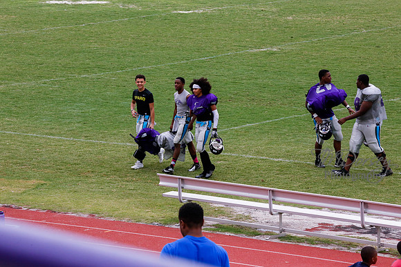 TMD_RVHS_2014-3812