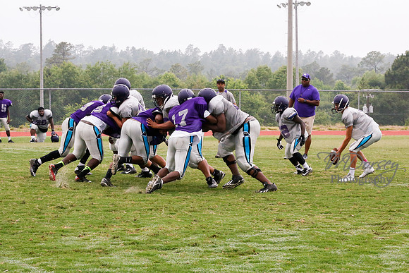 TMD_RVHS_2014-3681