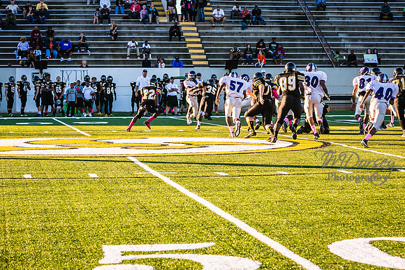 TMD_RVHS_wk6-8992