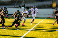 TMD_RVHS_wk6-8905