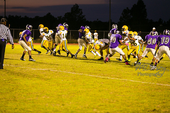 TMD_RVHS_wk8-3338