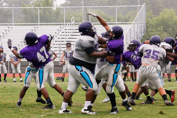 TMD_RVHS_2014-3766