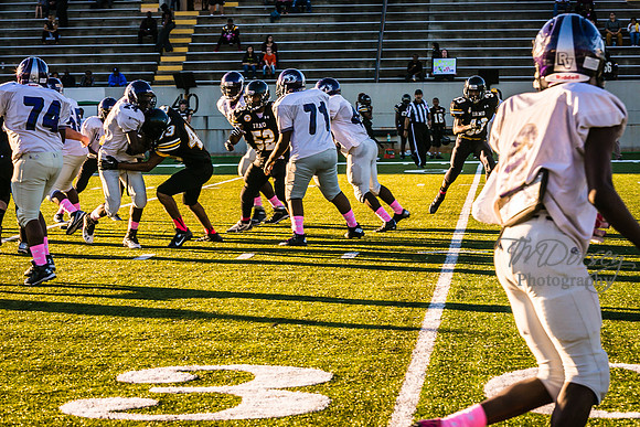 TMD_RVHS_wk6-8956