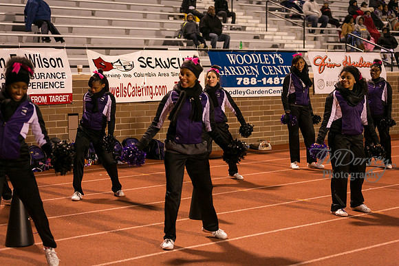 TMD_RVHS_wk8-4921