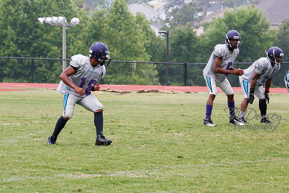 TMD_RVHS_2014-3566