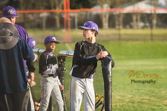 TMD_RVHS-2014-0131
