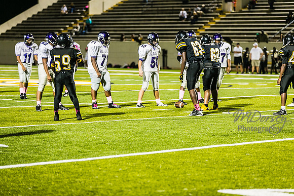 TMD_RVHS_wk6-9533
