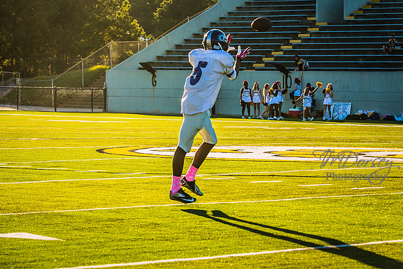 TMD_RVHS_wk6-8901